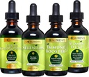 Go Nutrients Cold & Immune Bundle - Seleniu, Vitamina D3/K2, Booster imun, Clorofila lichida 