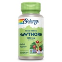 SOLARAY Hawthorn Berry Capsules 1050 mg - Soothing Herbal Supplement - Hawthorne Berry Supplement for Global Wellness Support - Whole Berry, Vegan, Non-GMO, 60 Day Guarantee, 50 Servings, 100 VegCaps