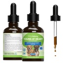 Pet Wellbeing Young at Heart for Dogs - Heart Health, Circulation & Cardical System, Hawthorn, Motherwort, Schisandra - Veterinarian-Formulate Herbal Supplement 2 fl oz (59 ml)