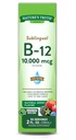 Adevărul naturii Vitamina sublinguala B-12 10.000 Mgg, rapid Acting lichid, aroma naturala Berry, 2 Ounce de lichid (Pachet de 1)