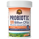 Probiotice Vitalitown 120 miliarde CFU, 36 tulpini, prebiotice, enzime digestive pentru bărbaţi Femei, eliberare întârziată, Perioada de valabilitate stabil, Pe suport du-te digestiv, 30 Veg Caps