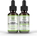 Clorofile binevoitoare picături lichide + Irish Sea Moss picături 2oz, 4 lună de aprovizionare supliment Clorofila lichid pentru deodorizator intern și piele radiantă