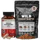 DailyNutra KSM 66 Ashwagandha (90 capsule) şi Mushroom Cacao Mix (16oz) Bundle pentru relaxare şi concentrare