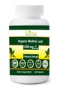 Organic Mullein Leaf 1500 mg Servind 120 capsule vegetale fabricate în SUA