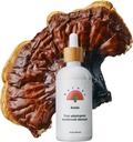 Rainbo - Reishi Mushroom Tincture - Dual Extract Mushroom Supplement - Suport Immune, Mood, Sleep, Liquid Reishi Supplement, Vegan, Non OMG, 3.4 fl oz
