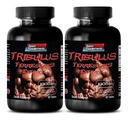 pastile pentru bărbați sex lung și puternic - TRUBULUS TERRESTRIS EXTRACT 1000MG - STRENGTH MUSCLE, booster de fertilitate de sex masculin, libidoului de sex masculin pastile, accesoriu de sex masculin, rapel de rezistență, 2B 120 comprimate