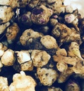 Organic Jerusalem Artichoke Tubers (Helianthus tuberosus) - Sunchokes, Sunroot sau Jerusalem Anghinare pentru Plantare sau Alimentare - 5 Tuberculari de Smoke Camp Crafts