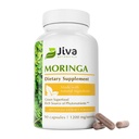 Jiva Botanicals Moringa frunze Extract capsule - Made from Moringa Leaf Powder and Oleifera Supplement for Immune and Normal Joint Support - 90 capsule (Pachet de 1)