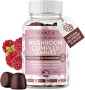 Mushroom Gummies Premium Supplement [10 Mushroom Complex Extract] Delicious & Fast Acting Lions Mane, Reishi, Shiitake Nootrop Brain Support, Immune Support, Mood & Relaxation, 60 Chews