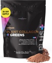 Livingood Daily Plant Colagen + Greens Powder, Chocolate, 5-in-1 Colagen Support cu proteine din mazăre, Aminoacidi, Spirulina, Chlorella & Vitamina C, Hair Skin Nails Support, Vegan, 30 Servings