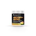 BCAA + EAA + Electroliti 