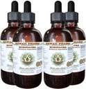 Echinacea Extract lichid fără alcool, Echinacea (Echinacea Angustifolia) Root Glicerite Hawaii Pharm Natural Herbal Supliment 4x4 oz