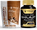 wellness LABSRX Mushroom Powder 2000mg - Shilajit Pure Himalayan 15.000 mg Capsule