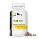 Jiva Botanicals Shilaj Capsule 700 mg 
