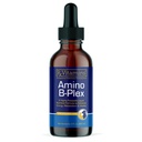 Rx Vitamine Amino B Plex Cat & Dog Supliment - Vitamina B Complex lichid Plus Aminoacizi pentru câini și pisici - Apetit Booster și greutate Gainer Cat & Dog Vitamine - 2 oz