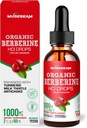 Berberina organică HCl 1000 mg picături lichide - cu Ceylon Cinnamon Turmeric Milk Thistle Anghinare - supliment ridicat de biodisponibilitatea pentru bărbați Femei - Zahăr Vegan gratuit Gluten gratuit 2fl. oz (60ml)