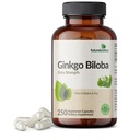 Futurebiotics Ginkgo Biloba Extra Putere Susţine funcţia creierului şi suport de memorie, 250 Capsule vegetariene