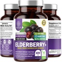 N1N Premium Black Elderberry Capsule pentru adulți [Max Putere] Pure și Pottent Elderberry din Sambucus Nigra pentru a sprijini Imunitatea & Skin Health, Non-GMO, Gluten gratuit, 60 Veg Caps
