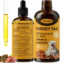 Turcia coada ciuperci pentru câini - absorbţie mai rapidă 2000mg Turcia coada ciuperci pentru imune şi digestive, comun, energie, 5X ciuperci pentru animale de companie picătură cu Turmeric & Probiotic - Vet Formulated, 90 ML/3FL.oz