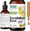 Păpuși Dandelion picături rădăcină pentru câini - Liquid Liver Health Supplement for Large, Medium & Small Dogs - Liver Cleanse Detoxifiere picături w / Dandelion root extract - 4 oz