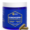 Cordyceps Capsule de ciuperci - 1000mg Extract de Cordyceps & 125mg Extract de yerba mate - 100% Supliment de ciuperci fructuoase - Suporturi energie cerebrală și performanță cognitivă - 60 capsule Yerba Mate