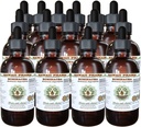 Echinacea Extract lichid fără alcool, Echinacea (Echinacea Angustifolia) Root Glicerite Hawaii Pharm naturale Herbal Supliment 15x4 oz