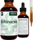 Echinacea 4 fl oz Extract lichid - rădăcină organică, frunze, flori, semințe - Supliment natural plante - corp, Sistem imunitar de sprijin Tinctură - picături de mare potențial - 90 de zile de aprovizionare - dimensiunea familiei