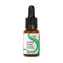 Cautare picaturi de lactaza de sanatate - Supliment lichid cu Lactase Enzyme pentru suport de intoleranta lactate - Suport intoleranta pentru digestia - Lactase Enzyme Supliment - 0.50 Fl oz, 52 Serviri