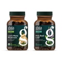 Gaia Herbs Lion