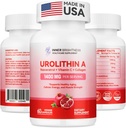Urolithin A Supplement 1400 MG - Non-GMO, Gluten-Free, Anti-Aging, Cellular Renewal, Muscle Strength, Endurance & Longevity Support, Liposomal Urolithin A, 60 Count