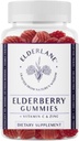 Elderlane Elderberry Gummies pentru adulți și copii - Suport imun - non-GMO, Vegan, Gluten-Free, Gelatină-Free - 60ct, 100mg