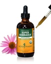 Herb Pharm Certified Organic Super Echinacea Extract lichid pentru suport activ al sistemului imunitar - 4 Oz