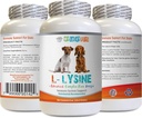 Dog Amino Acid Suplimente - LYSINE pulbere de câine - formă de pulbere pură - Sistem imunitar Suport - Vet Recomandat - Lysine Dogs - 1 flacon (8oz 226.8 Grams)