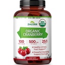 Zazzee USDA Organic Cranberry 25:1 Extract, 500 mg pe capsulă, 100 capsule Vegan, peste 3 luni de aprovizionare, Standardizat, concentrat 25X Extract, 100% vegetarian, Certified Organic, non-GMO All-Natural
