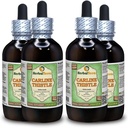 Carline Thistle (Carlina acaulis) Glycerite, Extract lichid fără alcool din rădăcini uscate (Brand Name: HerbalTerra, Proudly Made in USA) 4x4 fl.oz (4x120 ml)