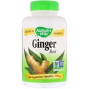Natura's Way Ginger Root 550 mg, Capsule 180ea