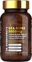 Dr Sosnowski BioActive Sea Moss 