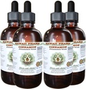 Scorțișoară fără alcool Extract lichid, scorțișoară (Cinamomum Verum) Scoarță uscată Glicerite Hawaii Pharm Supliment natural Herbal 4x4 oz