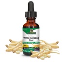 Nature's answer White Ginseng Root Alcool Free 1 Fluid Ounce 