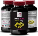 Ginkgo biloba Supliment - Extract de Ginkgo Biloba - Extract antioxidant natural, Suport antioxidant vegetal, Beneficii de biloba Ginkgo, Supliment de extract botanic, Antioxidant pe bază de plante 1 Bot 60 Caps