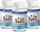 rinichi vezica urinara caine - DOG URINAR TRACT SUSŢINUT - Natural CRANBERY SOLUŢIE - BLADDER SANATATE - VET RECOMANDAT - câine supliment de afine pulbere - 3 flacon (270 tratează)