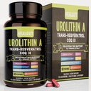 Urolithin Un supliment pentru femeile de lucru urbane: capsule anti-îmbătrânire cu Trans-Resveratrol și CoQ10 - Statele Unite ale Americii Lab suport verificat imbatranire sanatoasa si reinnoire celulara (9in1)