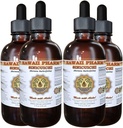 Sinicuichi Extract lichid, Sinicuichi (Heimia Salicifolia) Tincture, Herbal Supplement, Hawaii Pharm, Made in USA, 4x4 fl.oz