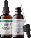 Plantain Tincture, Extract de plantaine organice (Plantago Major) Suplimentul de sanatate frunze uscate, non-GMO în Glicerină verde organică presată la rece 2 oz, 670 mg