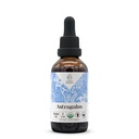 Astragalus USDA Extract organic fără alcool 