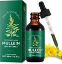 Mullein picături pentru plămâni, Mullein frunze picaturi tinctura 