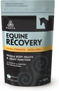 PURICA Equine Acid hialuronic - supliment comun de suport pentru cai cu glucosamină, MSM pulbere, betaină, magneziu, vitamina C și E - Ceai verde și extract de semințe de struguri - Provizii și tratamente pentru cai