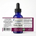 HoneyCombs Vitamina B9 Drops lichide - Potență ridicată Vitamina lichid B9 Supliment acid folic pentru femei - Menține ficat sănătos, sarcină, & Sănătate generală - Cold presat picături de vitamine Vegan (1 Fl oz)
