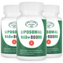NAD+ Supliment Liposomal NAD+ Plus 800MG Nicotinamidă Ribozidă Alternativă pentru energie celulară, Îmbătrânire sănătoasă și repararea musculară 180 capsule (Pachet de 3)