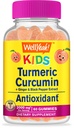 Ei bine, da Curcumina Turmeric cu gume de piper negru pentru copii - Suport Imun natural, Sănătatea articulară și musculară, Sănătatea digestivă și funcția creierului - Non-GMO, Vegan, Gluten-Free - 60 Conte